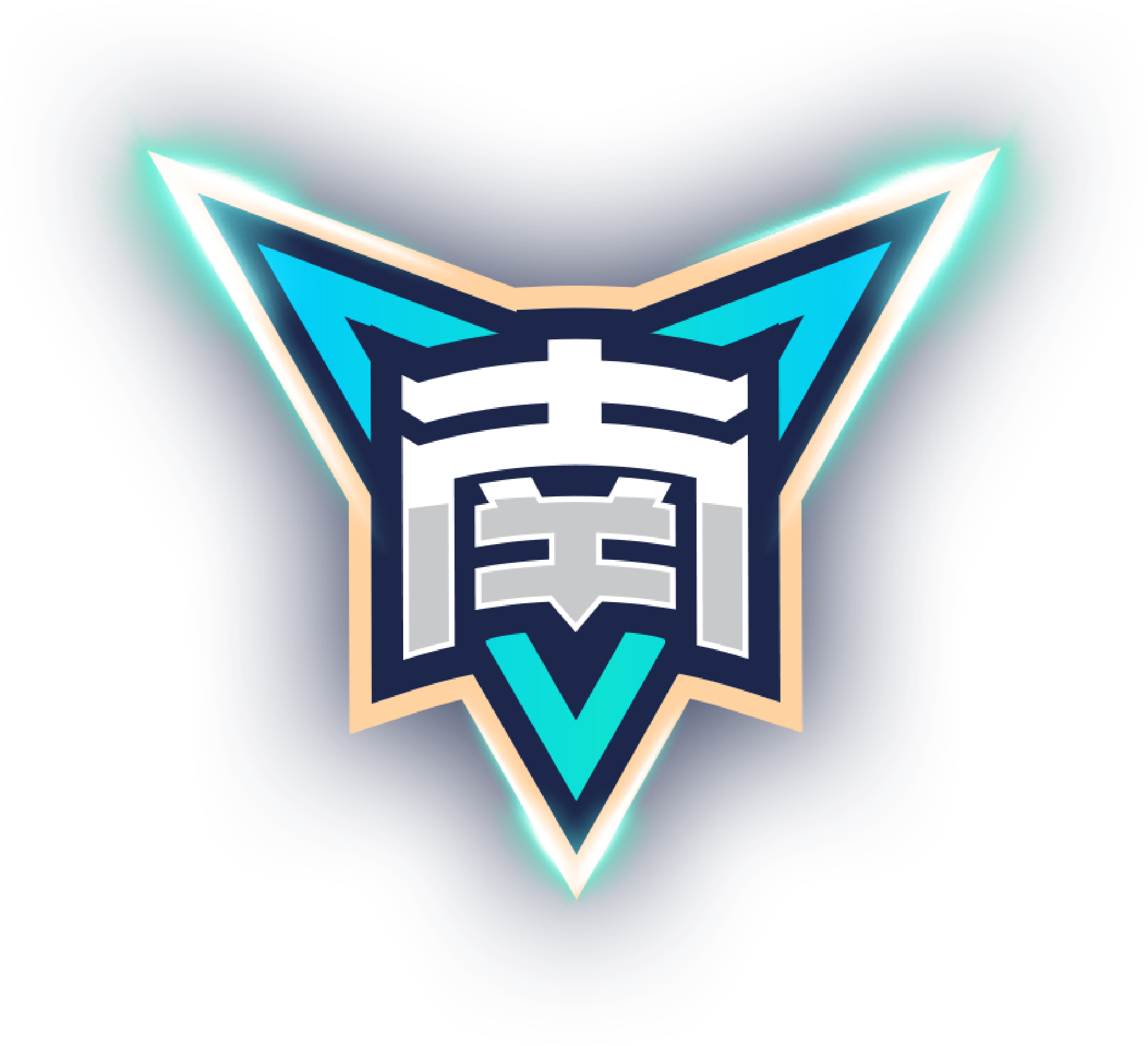 拉普拉塔大学生